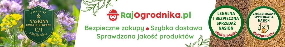 Baner poplon Zestaw gorczyca biała i facelia błękitna na poplon nasiona kwalifikowane sklep rajogrodnika